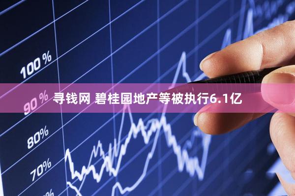 寻钱网 碧桂园地产等被执行6.1亿