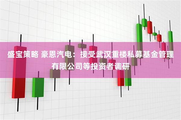 盛宝策略 豪恩汽电：接受武汉重楼私募基金管理有限公司等投资者调研