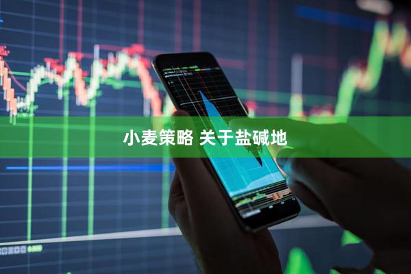 小麦策略 关于盐碱地